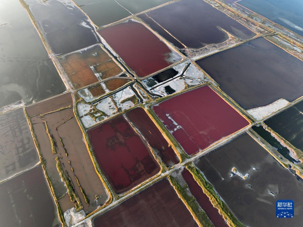 威尼斯登录地址